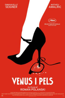 دانلود فیلم Venus in Fur 2013