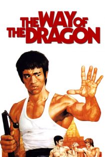 دانلود فیلم The Way of the Dragon 1972