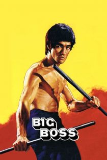 دانلود فیلم The Big Boss 1971
