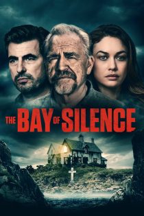 دانلود فیلم The Bay of Silence 2020