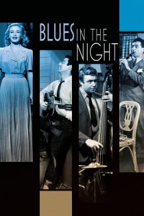 دانلود فیلم Blues in the Night 1941