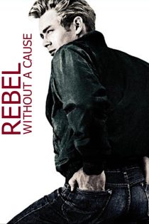 دانلود فیلم Rebel Without a Cause 1955