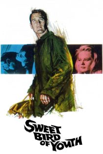 دانلود فیلم Sweet Bird of Youth 1962