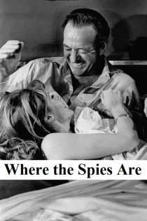 دانلود فیلم Where the Spies Are 1966
