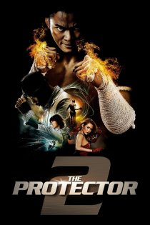دانلود فیلم The Protector 2 2013