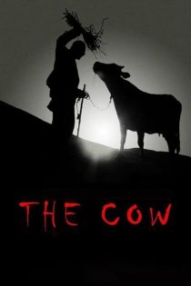 دانلود فیلم The Cow 1969