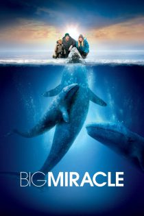 دانلود فیلم Big Miracle 2012